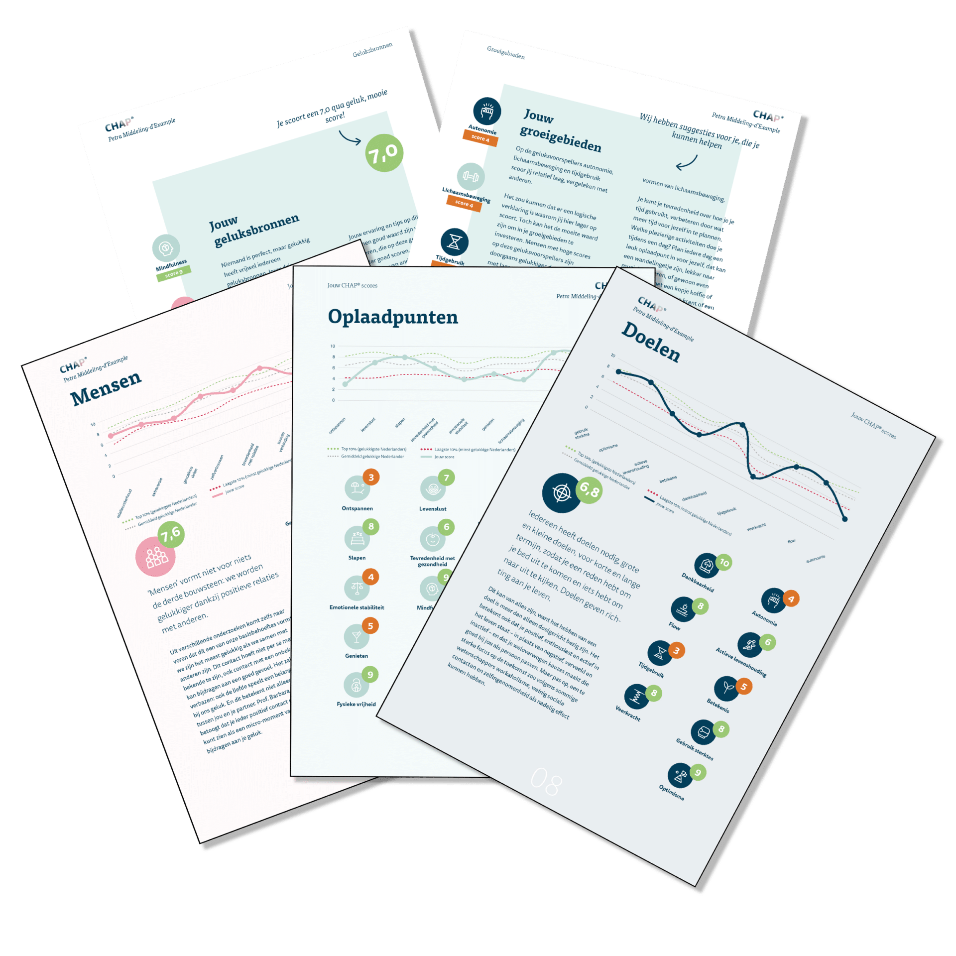 Voorbeeldpagina’s van het CHAP® geluksrapport